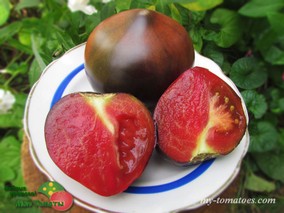 AUERMUOM APGUE (АУЭРМУОМ АПГУЭ)