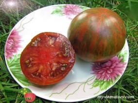 BELLE DU COLLEGE - JOIN OR DIE (БЭЛЛЬ ДЮ КОЛЛЭДЖ /КРАСАВИЦА КОЛЛЕДЖА)