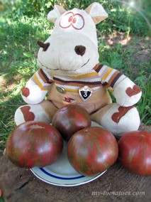 BERKELEY TIE DYE PINK (БЕРКЛИ ТАЙ ДАЙ ПИНК)