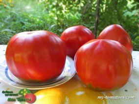 ЧЕРНИГОВСКИЙ