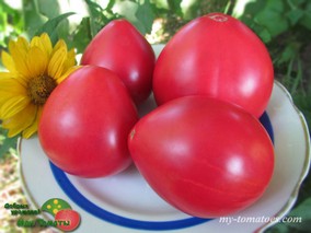 СUORE ROSA DI EUPILIO (РОЗОВОЕ СЕРДЦЕ ЭУПИЛИЯ)