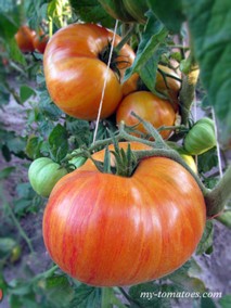 DEPECHE MODE SERIE/ BEHIND THE WHEEL (ЗА РУЛЕМ)