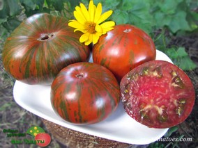 DEPECHE MODE SERIE/ SHAKE THE DESEASE (ВСТРЯХНИТЕ БОЛЕЗНЬ)