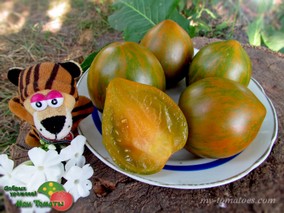 BABYLON’S GLOW (СИЯНИЕ ВАВИЛОНА)