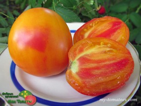 DWARF GLORIA’S TREAT (УГОЩЕНИЕ ГЛОРИИ)