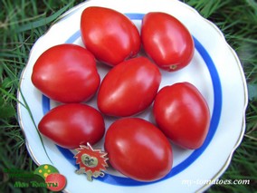 DWARF RED HEART (ГНОМ КРАСНОЕ СЕРДЦЕ)