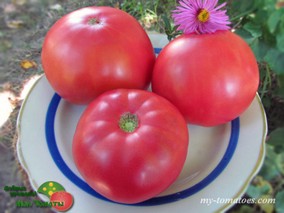 DWARF STRAWBERRY LEMONADE (ГНОМ КЛУБНИЧНЫЙ ЛИМОНАД)