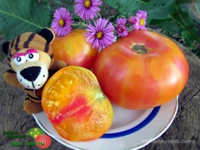 DWARF SUZ’S BEAUTY (ГНОМ КРАСОТА СЬЮЗИ)