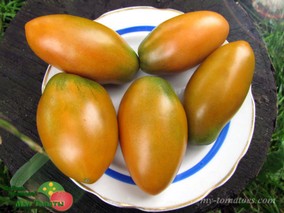 DWARF TIGER EYE (ГНОМ ГЛАЗ ТИГРА)