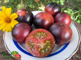 GONDWANA THUNDER DWARF (ГНОМ ГОНДВАНА ГРОМ)