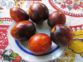 GARGAMEL (ГАРГАМЕЛЬ)