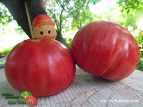 HOMESTEAD (ХОУМСТЕД)