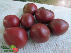 KING CRIMSON (КИНГ КРИМСОН)