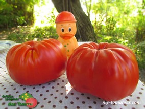 MEGA MARV (МЕГА МАРВ)