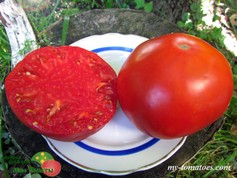 MERVEILLE DE ROCHEMONT (ЧУДО РОШМОНА)