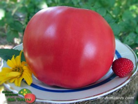 МИНУСИНСКИЕ ШАРЫ РОЗОВЫЕ