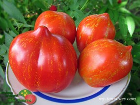 PERA TIJOLA ALMEIRA (КИРПИЧНАЯ ГРУША АЛМЕЙРА)