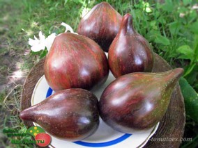 REBEL STARFIGHTER PRIME (РЕБЕЛ СТАРФАЙТЕР ПРАЙМ / ЗВЁЕЗДНЫЙ ИСТРЕБИТЕЛЬ ПОВСТАНЦЕВ ПРАЙМ)