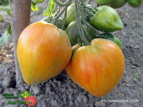 REBEL STARFIGHTER VT-16 YELLOW (VT-16 ЖЁЛТЫЙ)