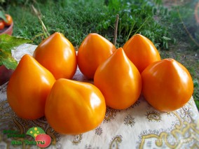 СЕРДЦЕ ПУСТЫНИ