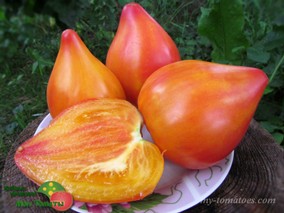 СЕРДЦЕ ДЕЗДЕМОНЫ