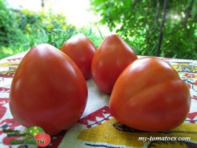 SLEEPING GIANT (СПЯЩИЙ ГИГАНТ)