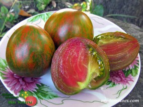 TAYIN DY (ТАЙИН ДИ)