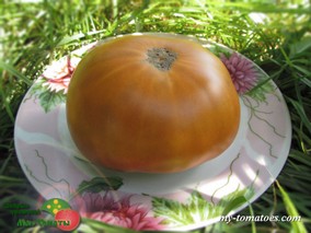 ULURU OCHRE (УЛУРУ ОХРА)