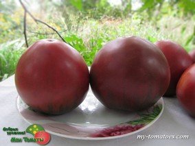 BRAD'S BLACK HEART (ЧЁРНОЕ СЕРДЦЕ БРЭДА)