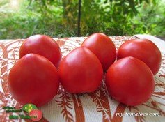 БОЛЬШАЯ МАМОЧКА