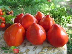 CUORE DI DRONERO (СЕРДЦЕ ДРОНЕРО)