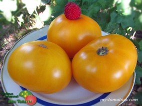 DEPECHE MODE SERIE/ PRECIOUS (ПРЕЛЕСТЬ)