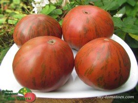 DEPECHE MODE SERIE/ SUFFER WELL (СТРАДАЙ ЛЕГКО)