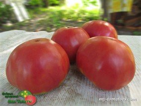 DEPP'S PINK FIREFLY (РОЗОВЫЙ СВЕТЛЯЧОК ДЕППА)