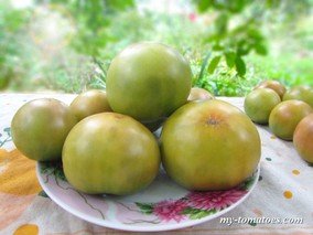 DWARF BERYL BEAUTY (ГНОМ БЕРИЛЛ БЬЮТИ)