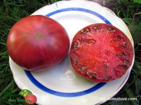 HUNK PAPA (ХАНК ПАПА /КРАСАВЧИК ПАПА)