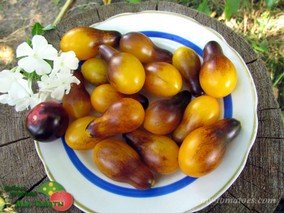 INDIGO PEAR DROPS (ГРУШЕВИДНЫЕ КАПЛИ ИНДИГО)