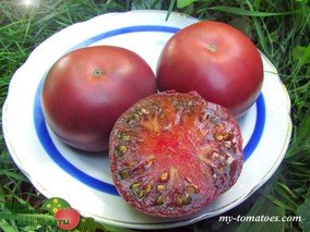 INDIRA GANDHI BLACK (ИНДИРА ГАНДИ, ЧЕРНЫЙ)