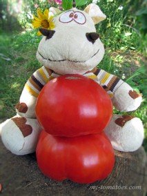 KARKIANO (КАРКИАНО)