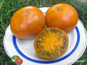 KIWANIS (КИВАНИС)