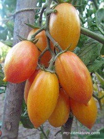 MÄRCHENZAUBER (СКАЗОЧНОЕ ВОЛШЕБСТВО)