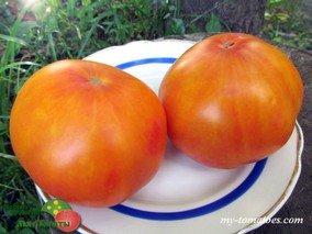 MARCY’S MYSTERY (ТАЙНА МАРСИ)