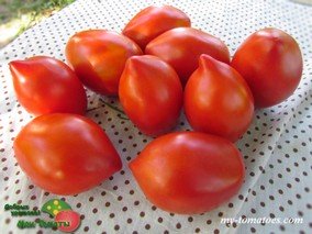 MATT d'IMPERIO (МЭТ ИМПЕРИО)