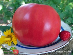 МИНУСИНСКИЕ ШАРЫ РОЗОВЫЕ