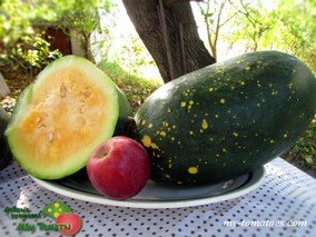 Арбуз MOON AND STARS YELOW (ЛУНА И ЗВЁЗДЫ, ЖЁЛТЫЙ)