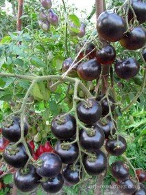 NIGHT SARANSK (НОЧНОЙ САРАНСК)