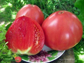 ROSA DI SORRENTO (РОСА ДИ СОРРЕНТО/ РОЗОВЫЙ ИЗ СОРРЕНТО)