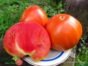 RED BUTTER HEART (КРАСНОЕ МАСЛЯНОЕ СЕРДЦЕ)