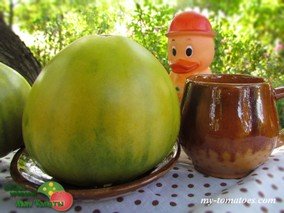 REINHARD'S GREEN HEART (ЗЕЛЁНОЕ СЕРДЦЕ РАЙНХАРДА)