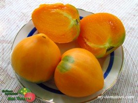 ROSALIE’S EARLY ORANGE (РАННИЙ ОРАНЖЕВЫЙ РОЗАЛИ)